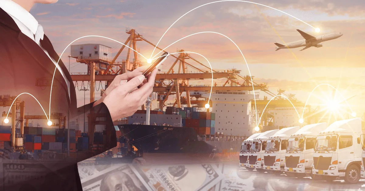 Tailored Logistics Examples in Dubai: Why Choose Tailored over Mass?