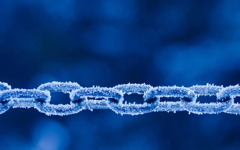 cold chain logistics services